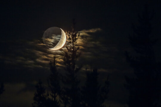 An amazing dramatic view of the Crescent Moon in between the clouds and behind the trees of the forest. A dramatic and scary background of our Moon and the night sky on a cloudy day
