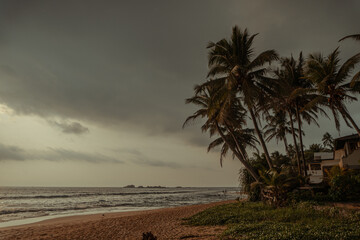 Tropikalne palmy kokosowe na tle zachodzącego słońca, plaży i oceanu. © insomniafoto