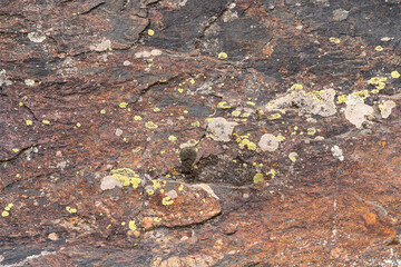 Naklejka na ściany i meble background and texture of a rocky surface