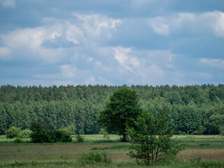 Podlaska panorama w środku lata. © Agnieszka