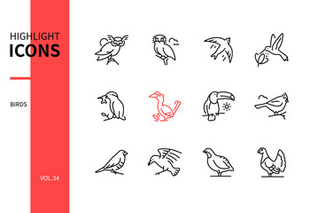 Bird species - line design style icons set