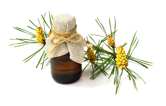 Pine Pollen Cone Medication in a Bottle (Pinus Sylvestris). Isolated on White Background.