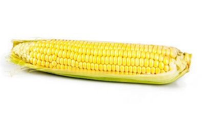 Corn on the cob isolated on a white background. View from another angle in the portfolio.