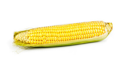 Corn on the cob isolated on a white background. View from another angle in the portfolio.