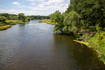 Fototapeta na wymiar View of healthy nature on the river Mulde taken from the Mulderadweg cycle path near the city of Dessau, Germany, Europe b