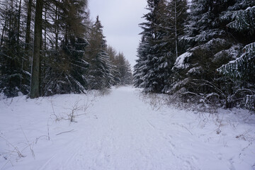 Wanderweg im verschneiten Hils bei Delligsen Grünenplan