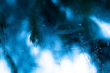 Raindrops on window glass in cold colors, tree branches in the background