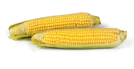 Corn on the cob isolated on a white background. View from another angle in the portfolio.