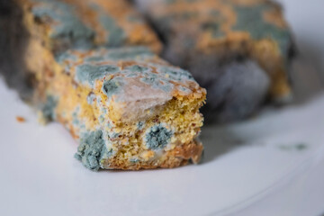Close-up photo of corn bread covered with multicolored mold on plate. Best before date has expired. Mold growing rapidly.