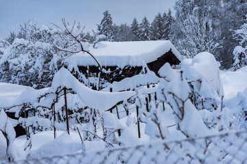 Winterlandschaft