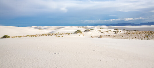 White Sands National Monument in New Mexico, USA
