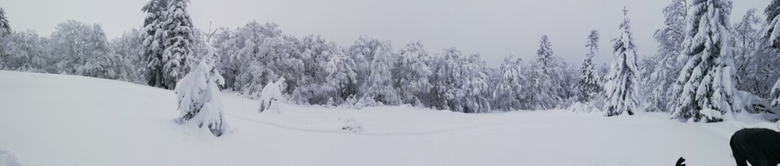 Obraz premium 2/1/2021 Dans les vosges (photo prise pour moi pour financé mes études d'hotêlerie)