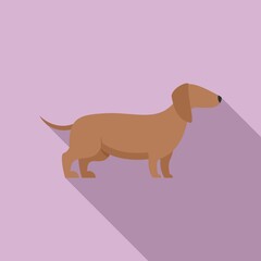 Long dog icon. Flat illustration of long dog vector icon for web design