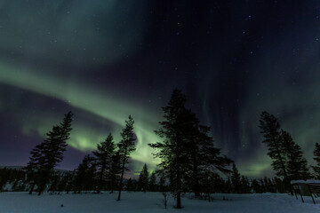 Aurore boréale en Finlande