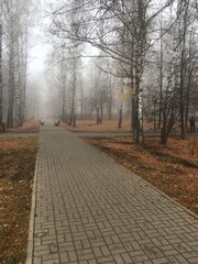 path in autumn park