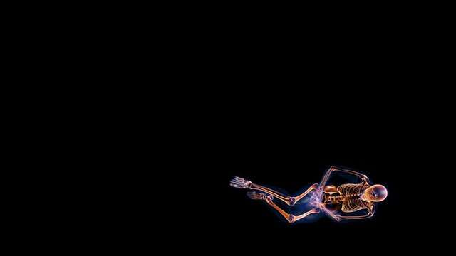 Human x-ray body and skeleton, big stomack pain, Alpha Channel