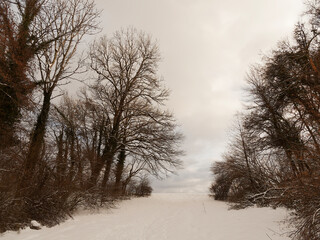 Wanderung um den Eichener See. Schneebedeckte Hügel um den Eichensee
