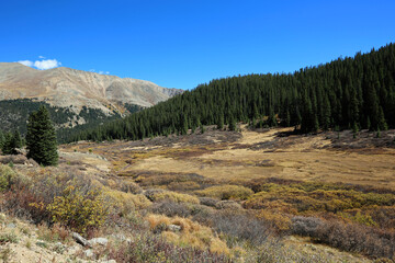 The valley and the forest - Independence Pass,  Rocky Mountains, Colorado