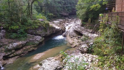 gorge, forest, river, mountains, nature.