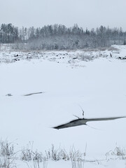 Beautiful winter landscape with snowy trees. Outdoor photo of pine trees covered with snow. Countryside during winter..