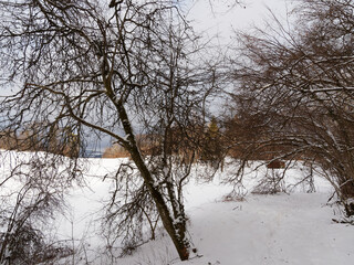 Fototapeta na wymiar Eichener See im Winter, Grundwasserstand wasserführende See liegt in einer Mulde mit Schnee bedeckt