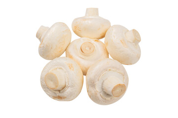 Champignon mushroom isolated on white background.