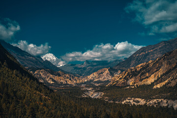 Trees and snowcapped peak at background in the Himalaya mountains, Nepal