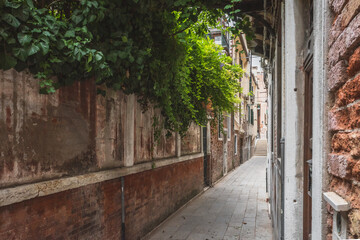 Fototapeta na wymiar Alley between houses under green vines in Venice, Italy