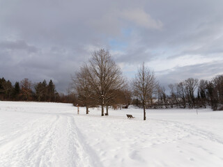 Eichener See im Winter bei Eichen im baden-württembergischen Landkreis Lörrach