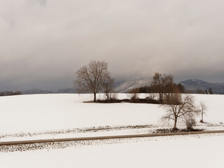 Schnee und Berglandschafte rund um den Eichener See südlich der Bundesstraße 518 im baden-württembergischen Landkreis Lörrach 