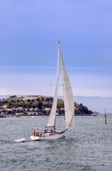 Sailboat in front of  Auckland, New Zealand