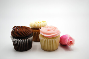 cupcakes on white