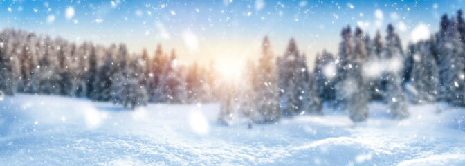 Winter landscape background and snow, frost wide panorama with free space for your text