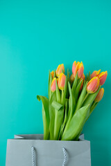 Fresh yellow-red tulips on a mint background. Holiday concept