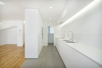 Fototapeta na wymiar Modern kitchen with white cabinets 