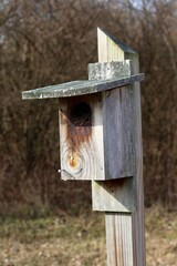 A close view of the wood box birdhouse in the park.