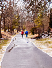 Fototapeta premium walk in the park