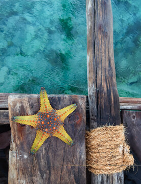 Starfish lying on the old vintage traditional vessel Dhow boat shipboard with turquoise Indian ocean waves background and vintage old tackle rope. Exotic traveling and vacation concept image.