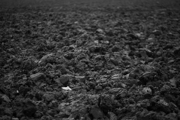black and white earth growth mud agriculture field