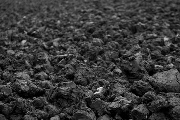 black and white earth growth mud agriculture field