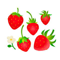 Red strawberries set