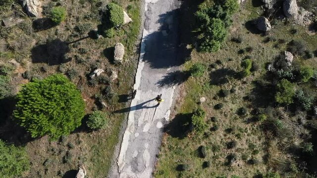 Man walking with dog in nature seen from drone