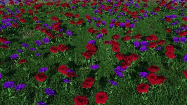 jard&iacute;n de rosas rojas y violetas moviendose con el viento, vista desde arriba, render 3d
