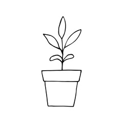 sprout in a flower pot icon, sticker. sketch hand drawn doodle style. vector monochrome minimalism. seedling, spring, plant, horticulture, garden, ecology.