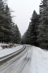 .Snow-covered road in the forest. Winter mountain landscape.
