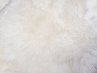 white wool texture background. Faux fur. Texture of white fluffy fur, close up of a long wool carpet. Top view