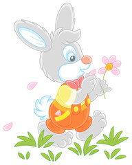 Little enamored bunny walking on green grass and guessing on a daisy, vector cartoon illustration isolated on a white background