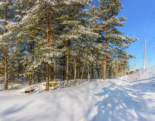Fototapety na wymiar - Fototapeta24.pl