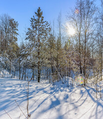 Fototapety na wymiar - Fototapeta24.pl