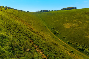 Obraz premium A view of the path leading up to the head of the longest dry valley in the UK on the South Downs near Brighton in springtime